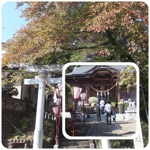 11月3日石森神社