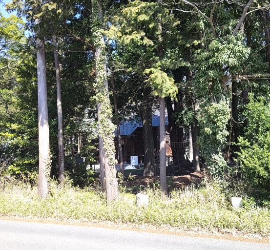 見えるのが青柳神社