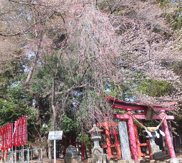 石森稲荷神社