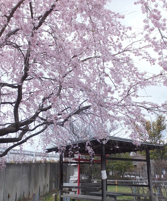 子持稲荷神社