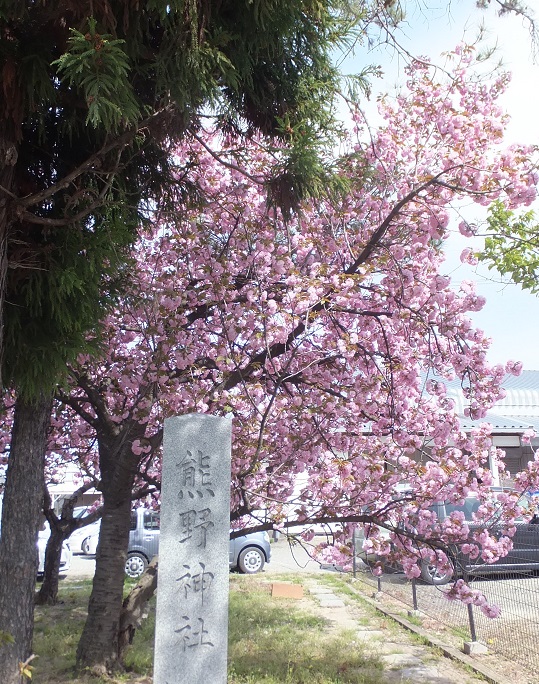 熊野神社