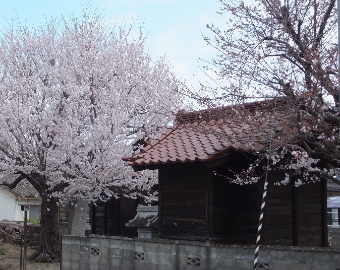 琴平神社裏手