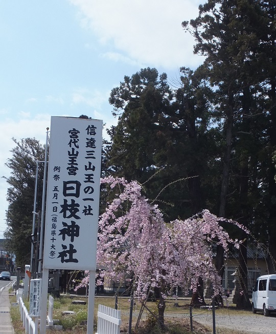 日枝神社と桜