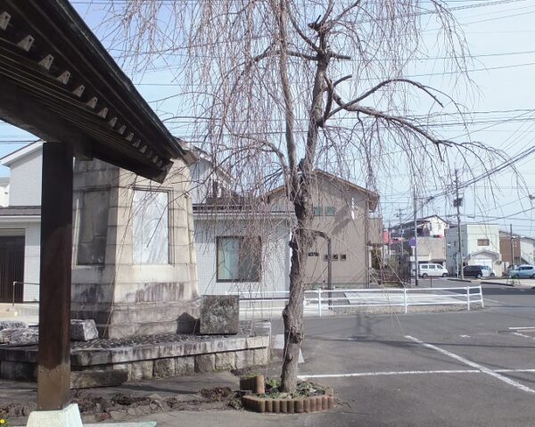 雷神から見た353号線