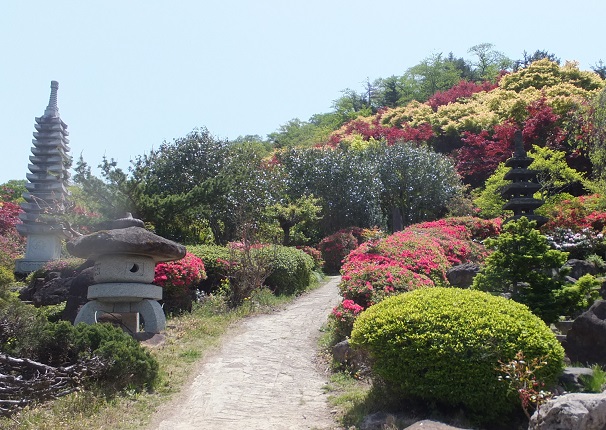 花見山公園の景色