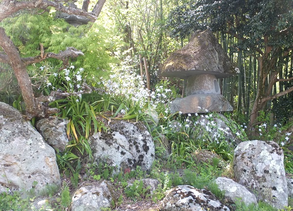 花見山公園シャガの花