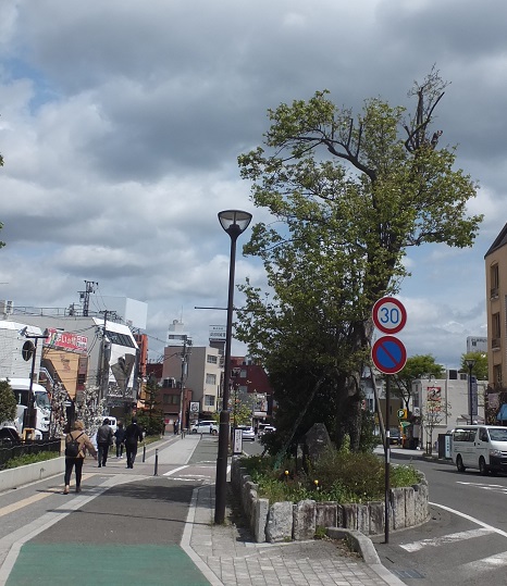 歩道に梨の木