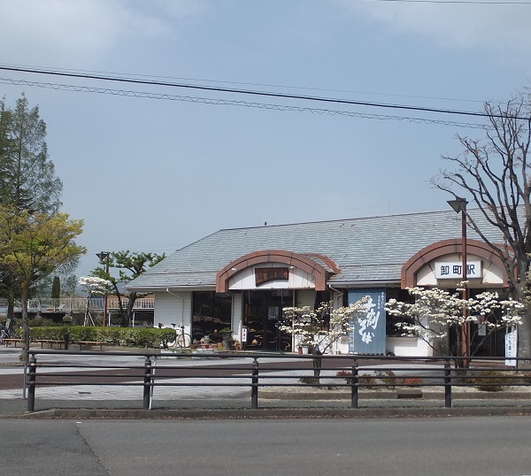 卸町駅前ハナミズキが咲いています