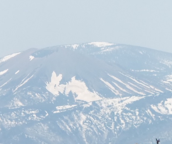 雪ウサギ