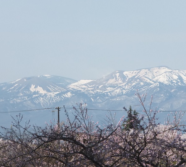 吾妻小富士に雪ウサギ