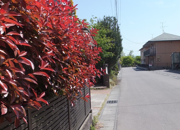 突き当りの所が公園です