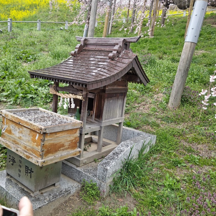 瀧桜神明宮