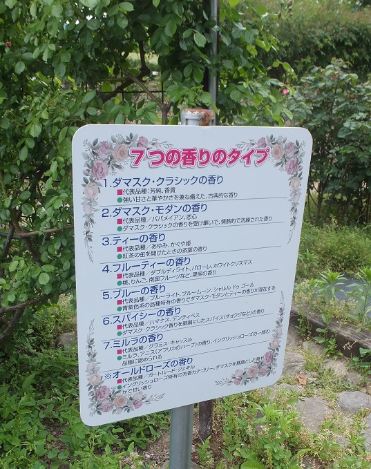 7つの香りタイプ