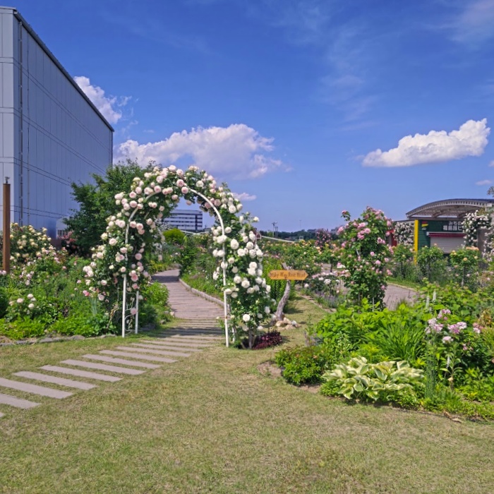 バラ園