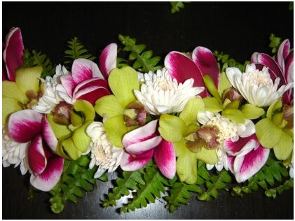 植物を三つ編み