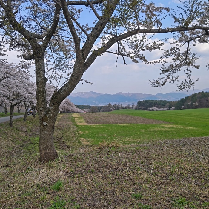 磐梯山牧場