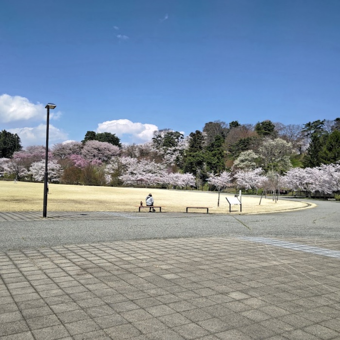 みんなの広場