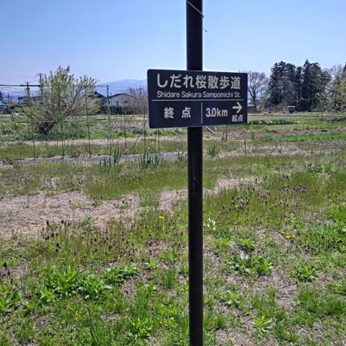 終点