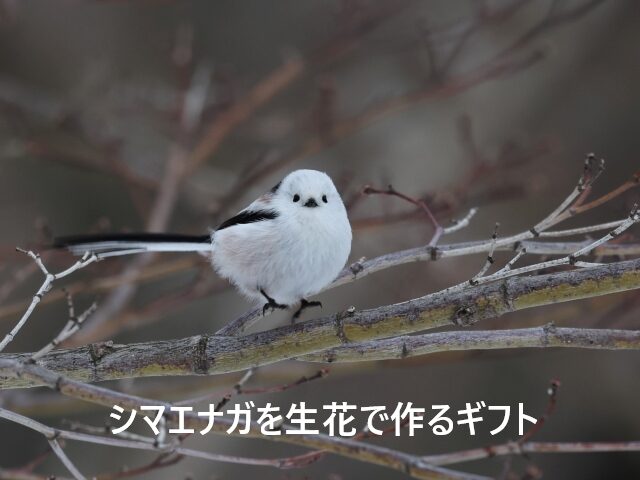 フラワーギフト