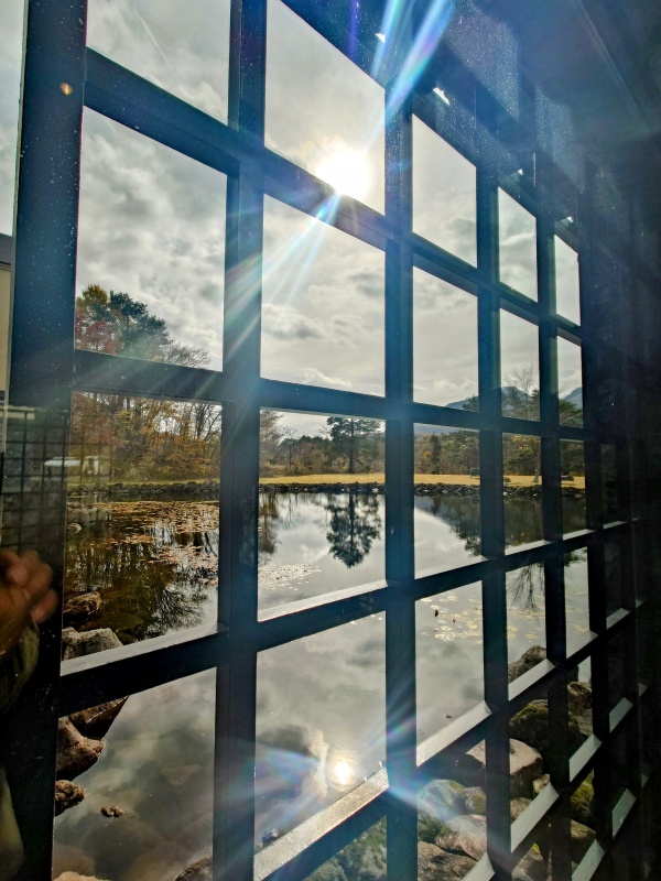 美術館中から外を見たところ