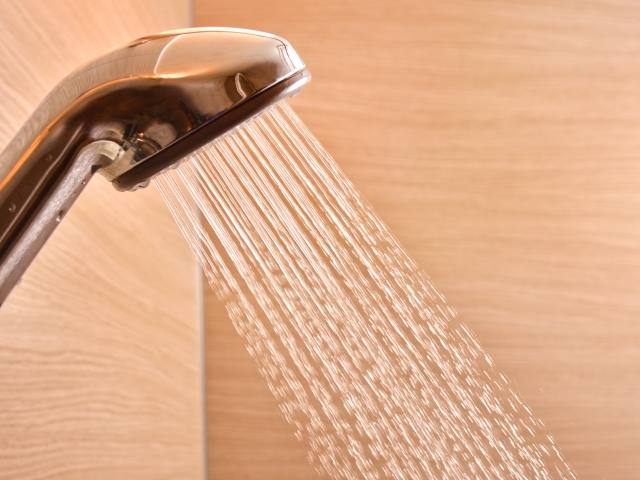 shower head