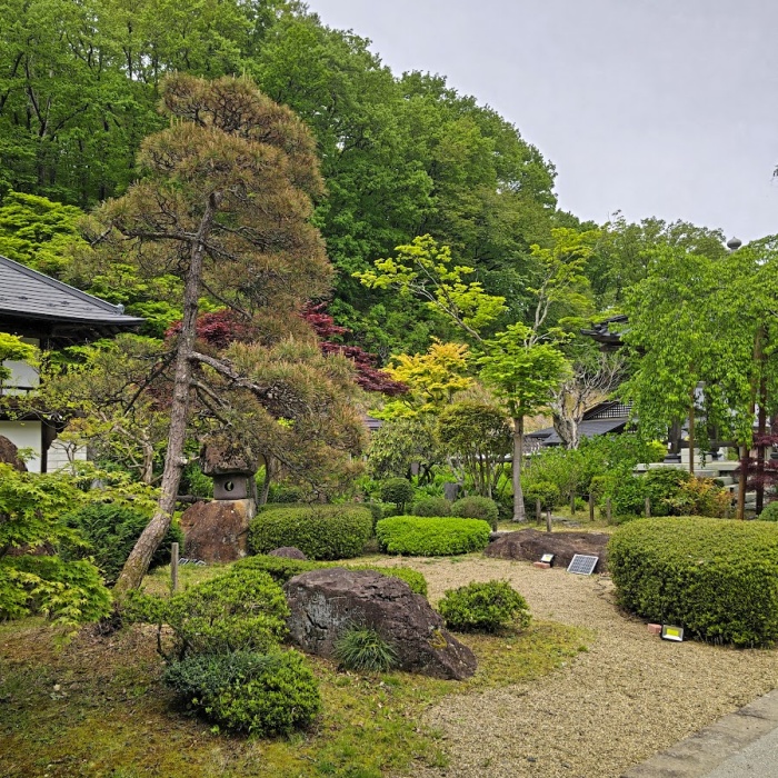 本堂手前新緑が鮮やか