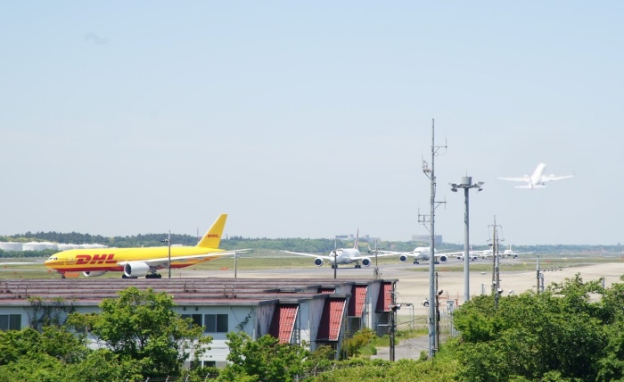離陸するために、多くの飛行機が並んでいます。
