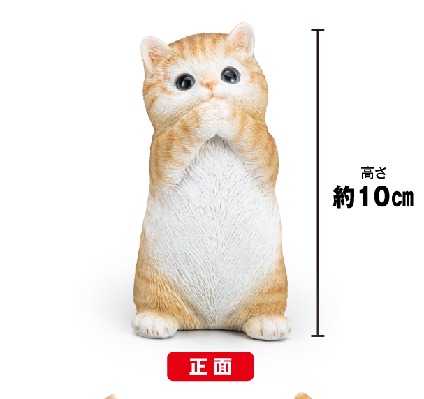 茶トラ猫