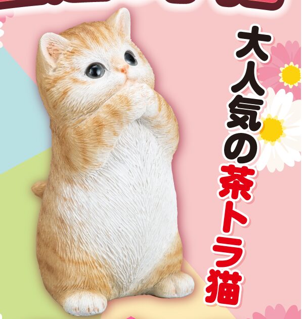 茶トラ猫